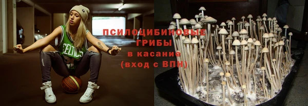 индика Горно-Алтайск