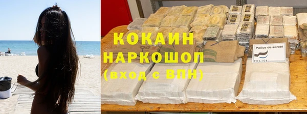 индика Горно-Алтайск