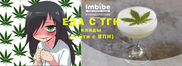 индика Горно-Алтайск