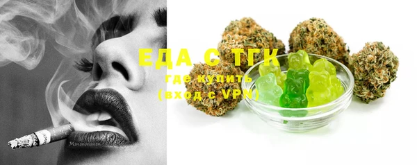 индика Горно-Алтайск