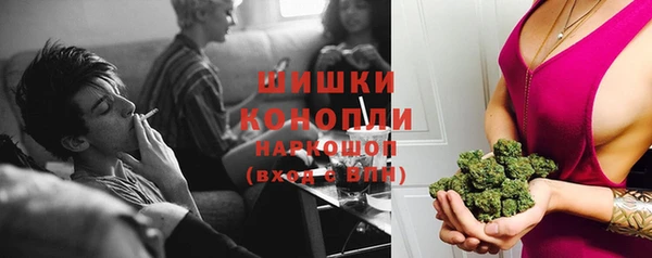 индика Горно-Алтайск