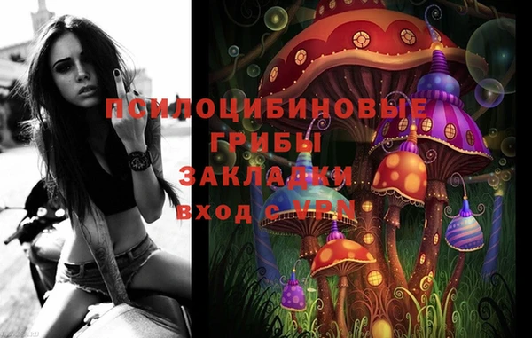 мдпв Горнозаводск