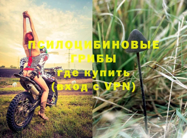 индика Горно-Алтайск