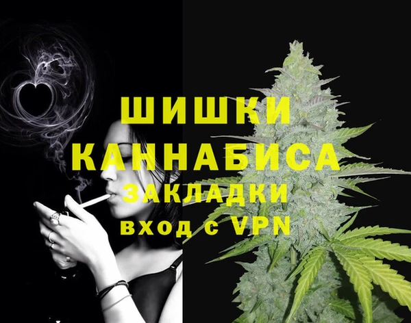 индика Горно-Алтайск