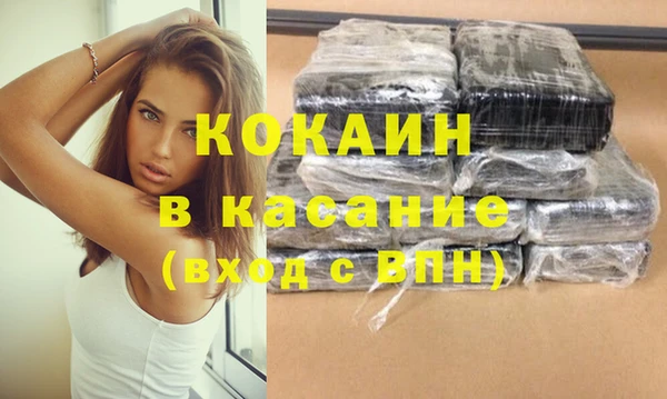 индика Горно-Алтайск