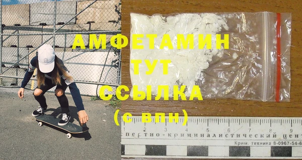 индика Горно-Алтайск
