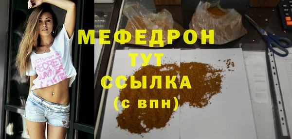 индика Горно-Алтайск