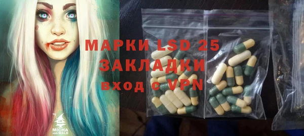 мдпв Горнозаводск