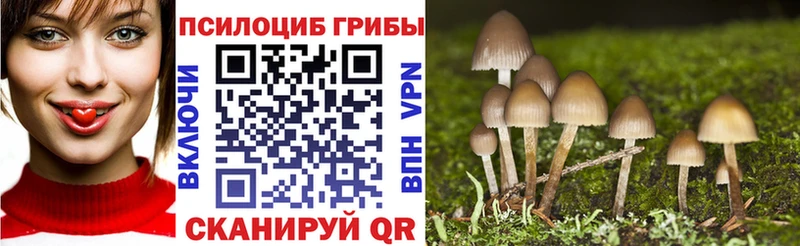 Псилоцибиновые грибы GOLDEN TEACHER  Купить закладки  Княгинино 