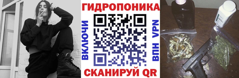 Купить закладки  Княгинино  Шишки марихуана AK-47 